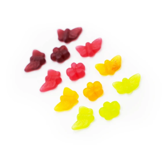 FLOWERS & BUTTERFLIES