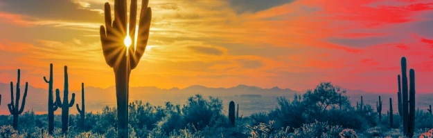 Promotional Banner 2